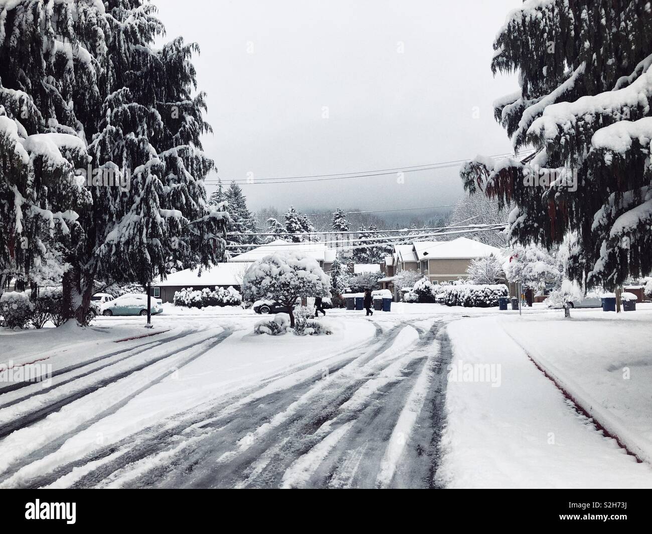 Der erste Schnee der Saison in Issaquah, WA Stockfoto