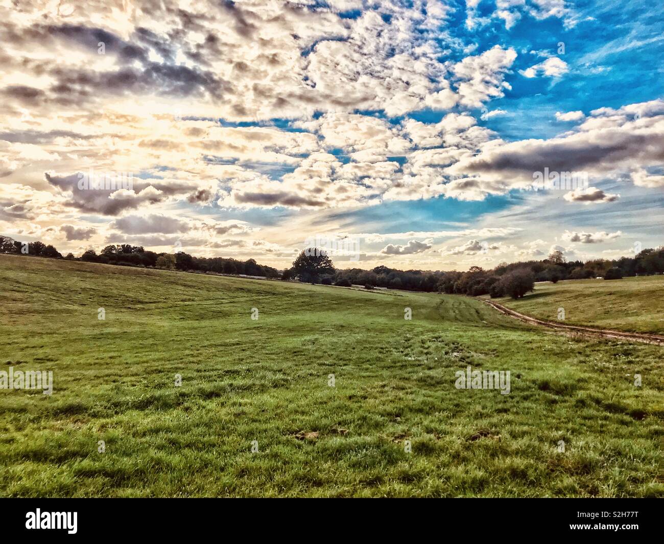 Epsom Downs Racecourse, Surrey, Vereinigtes Königreich. Stockfoto