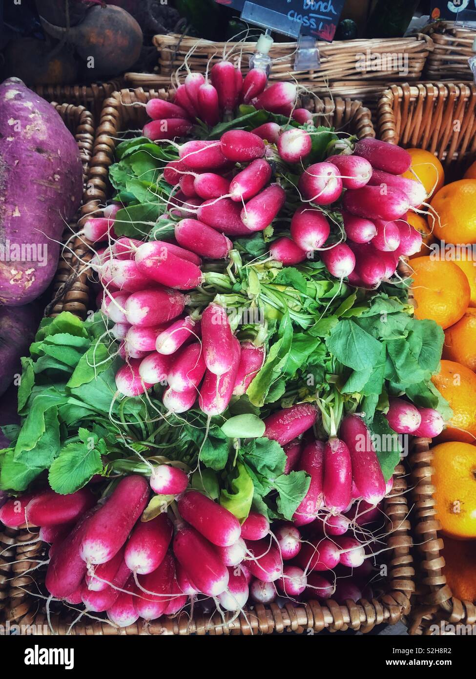 Frische Radieschen zum Verkauf in einem Markt, Februar. Stockfoto