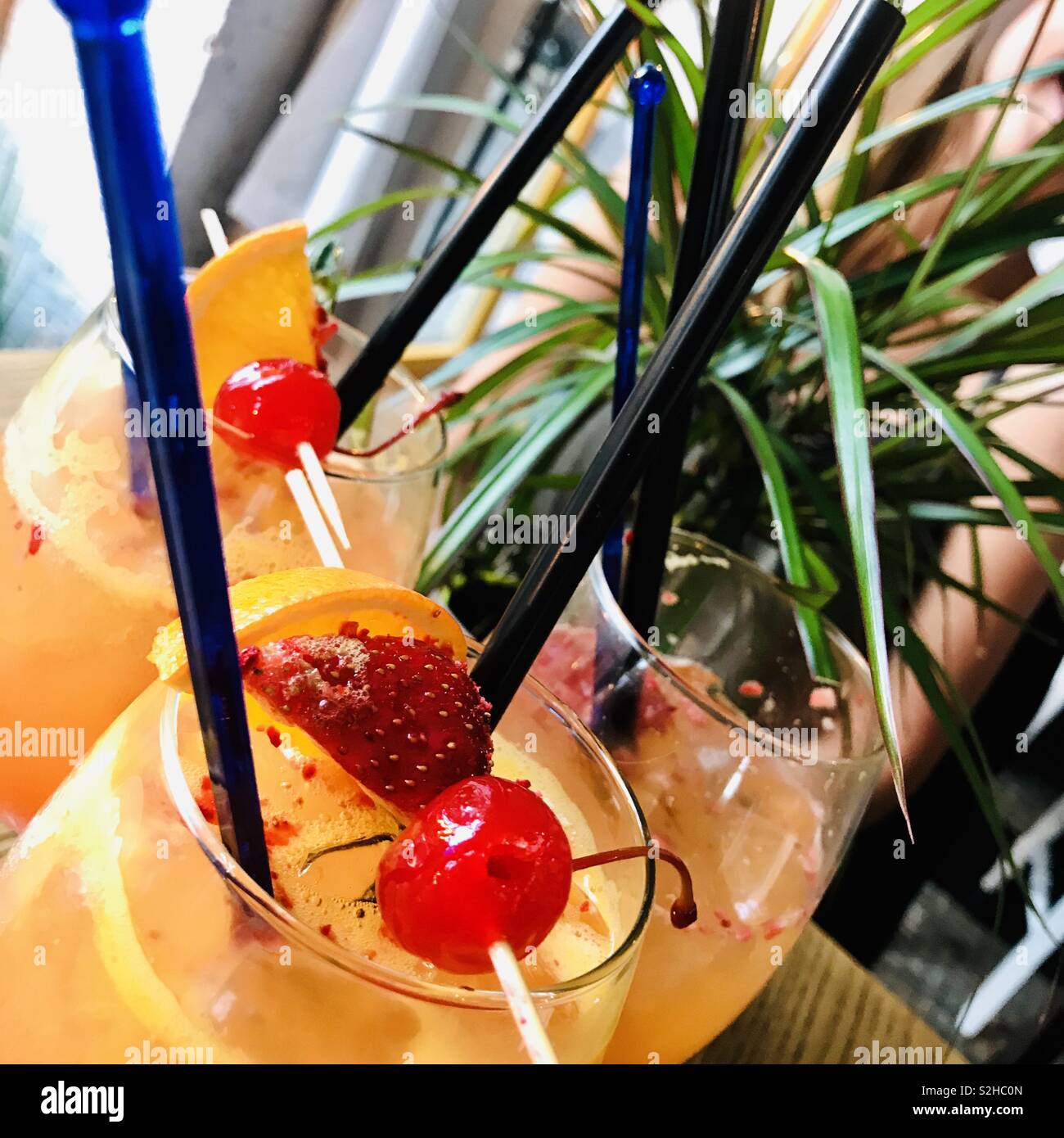 Tropischer Sommer Vibes. Farbenfrohe Cocktails Stockfoto