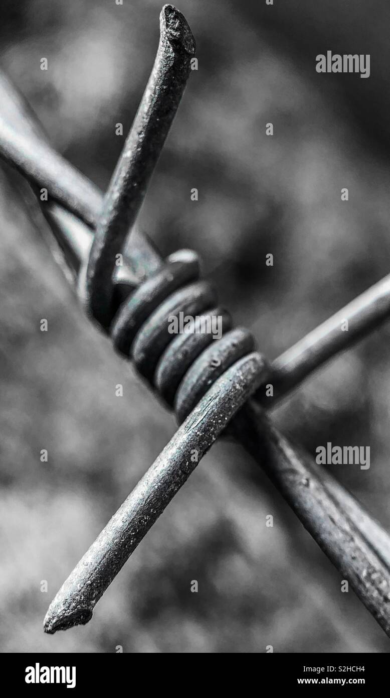 Stacheldraht Nahaufnahme. - Smartphone-aufgenommenes Stockfoto