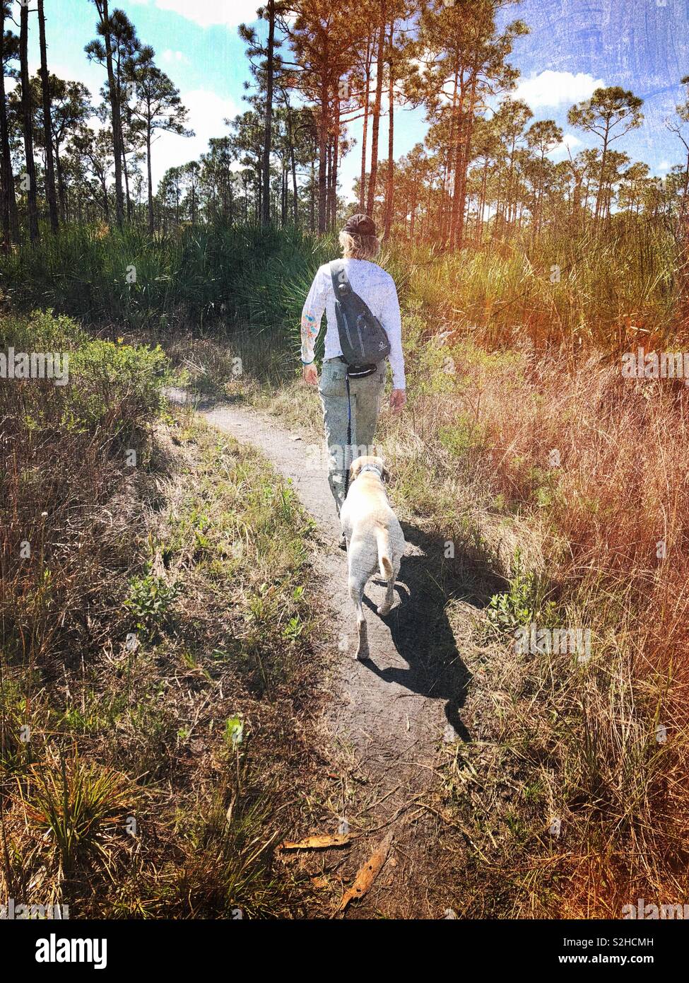 Frau Wanderungen mit ihrem Hund in Florida. Stockfoto