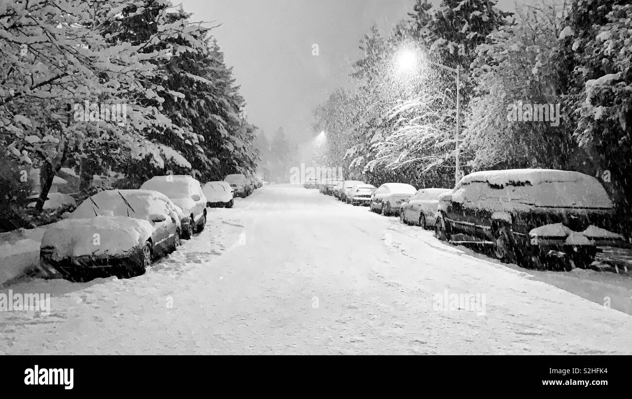 Seattle Snowpocalypse Stockfoto
