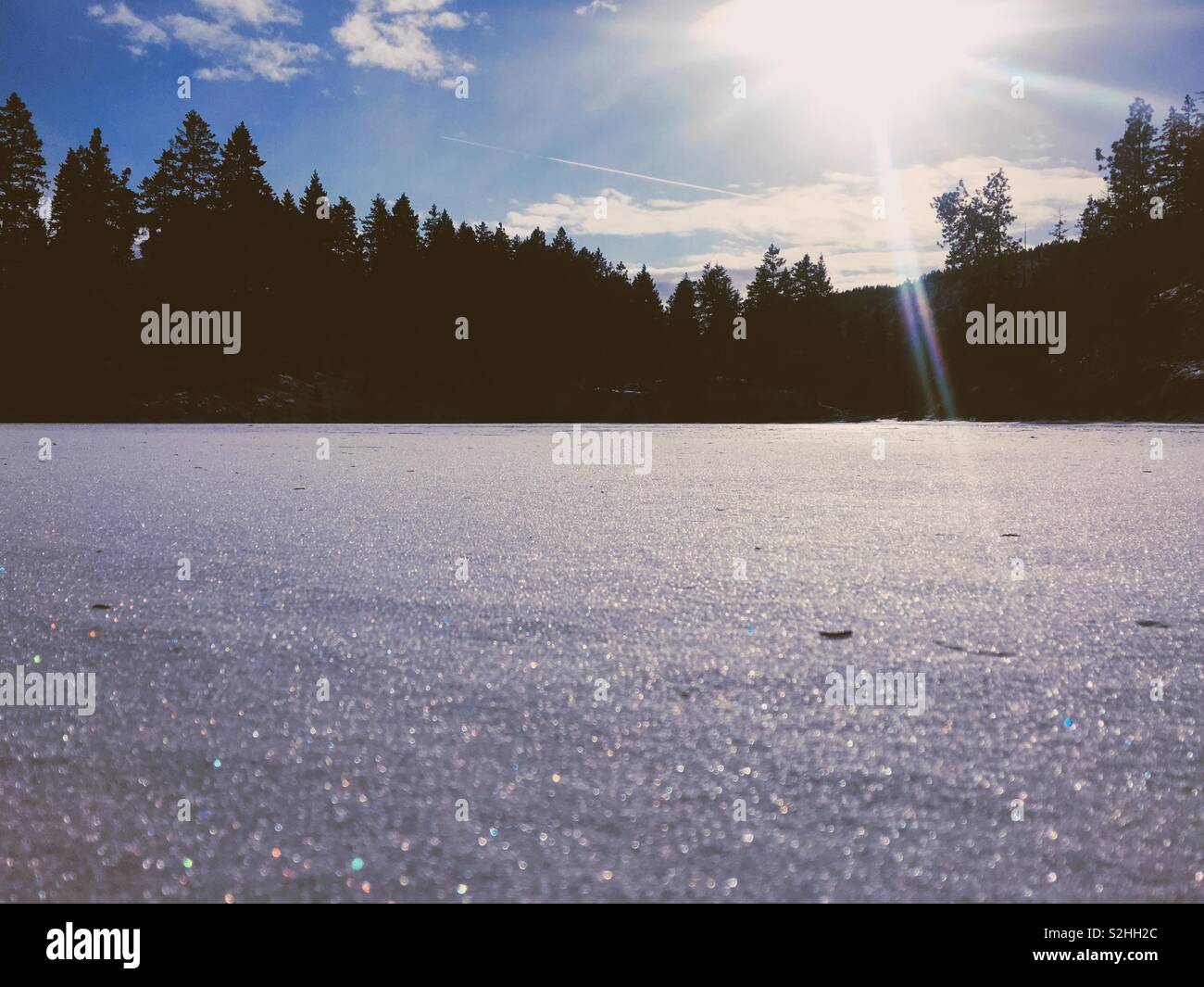 Winterlandschaft. Gefrorenen Schnee See mit Sonnenlicht und die Silhouette von einem immergrünen Wald. Platz für Kopieren. Stockfoto