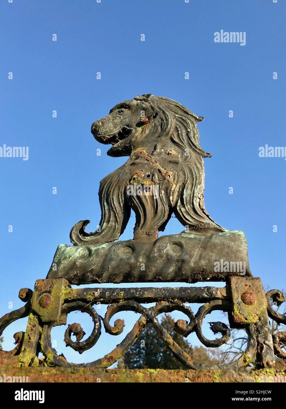 Eine gusseiserne Lion auf historischen Tore - Smartphone-aufgenommenes Stockfoto