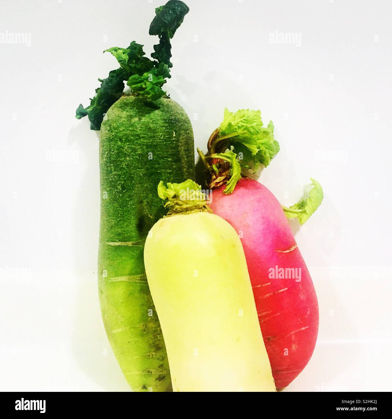 Roter daikon rettich -Fotos und -Bildmaterial in hoher Auflösung – Alamy