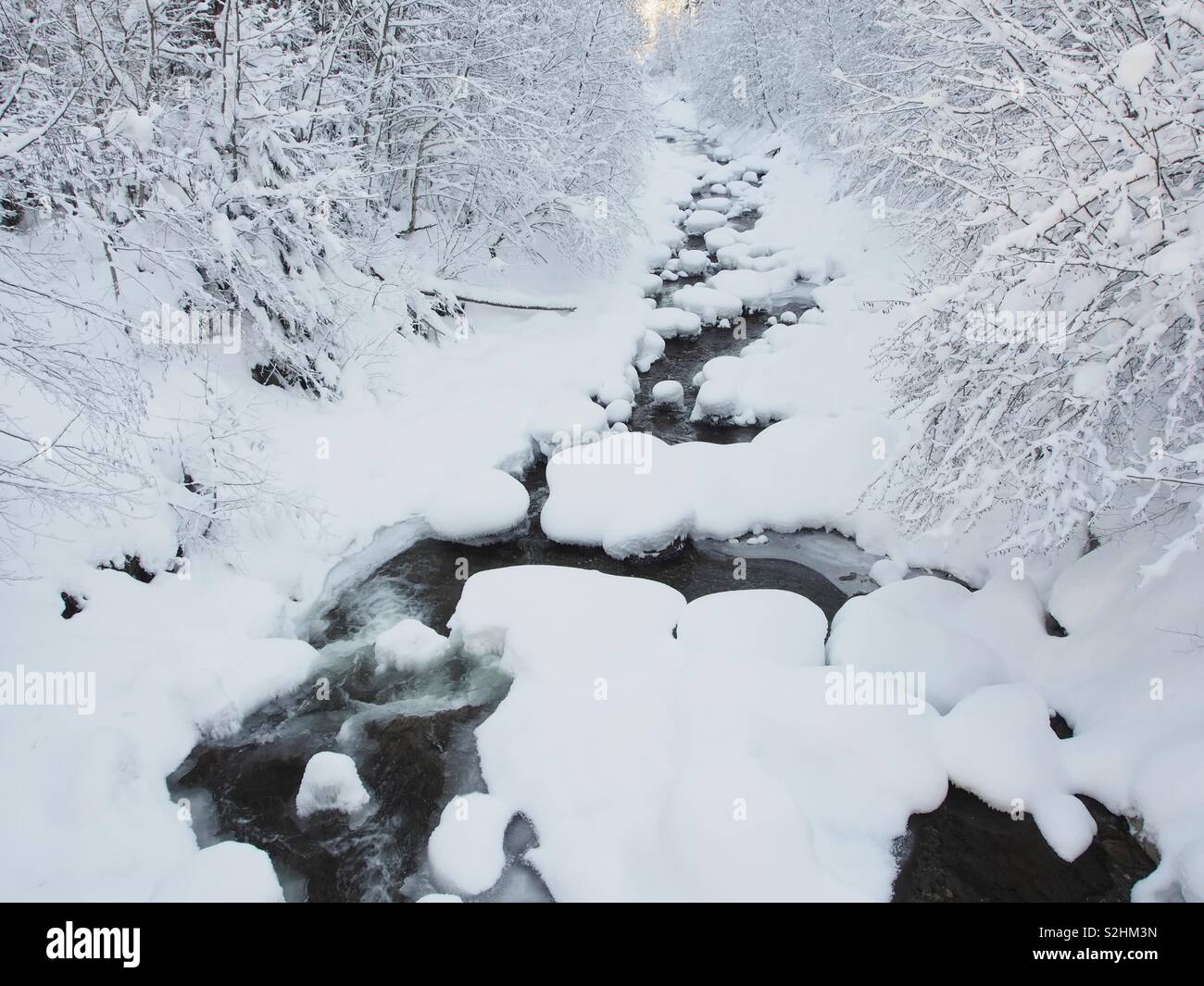 Schnee bedeckt Stream in einem Wald Stockfoto