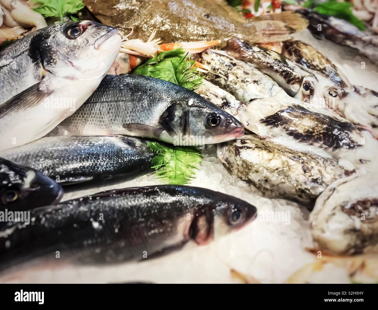 Frische Fische zum Verkauf in einem lokalen Markt - Smartphone-aufgenommenes Stockfoto