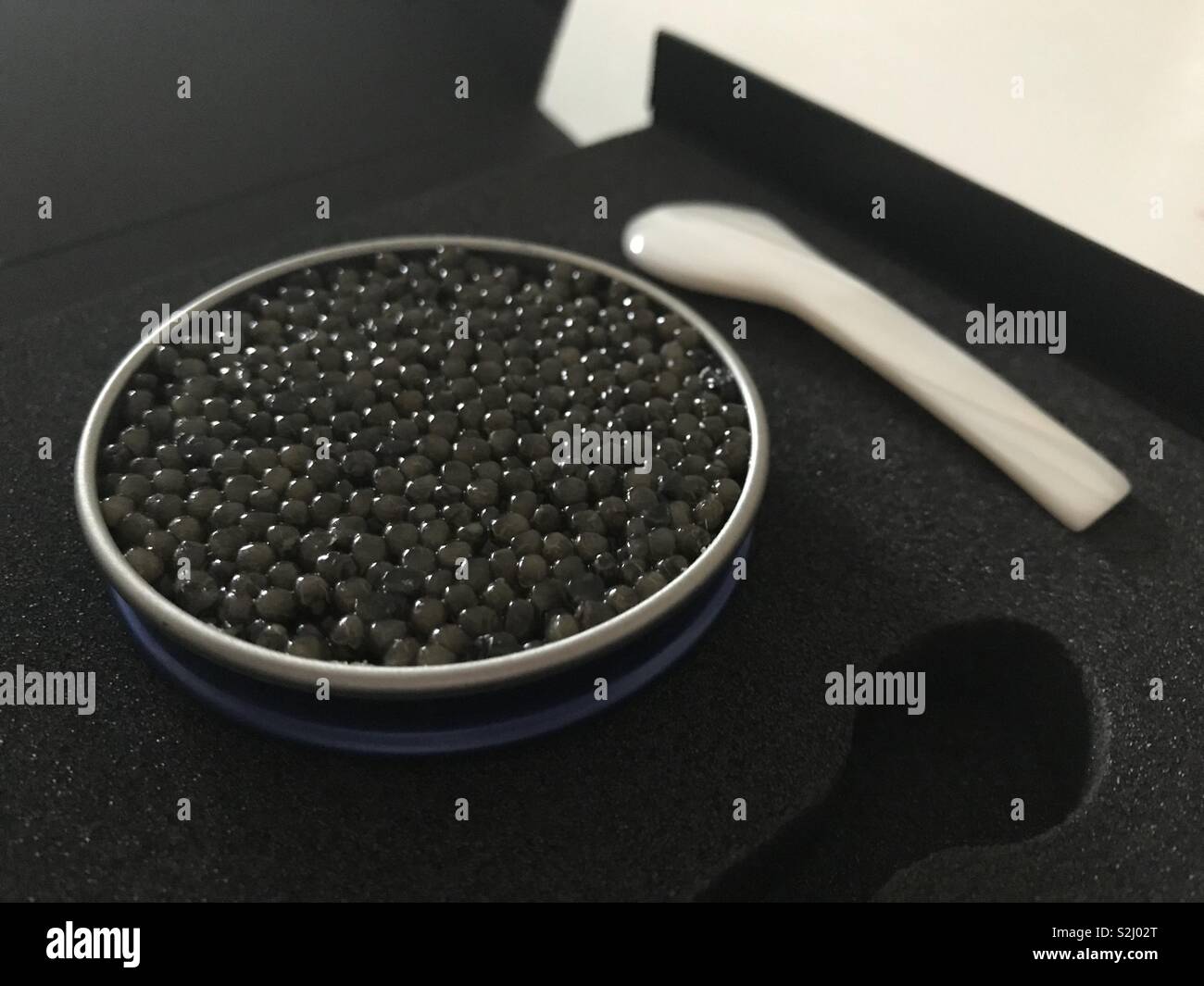 Schwarzer Kaviar Stockfoto