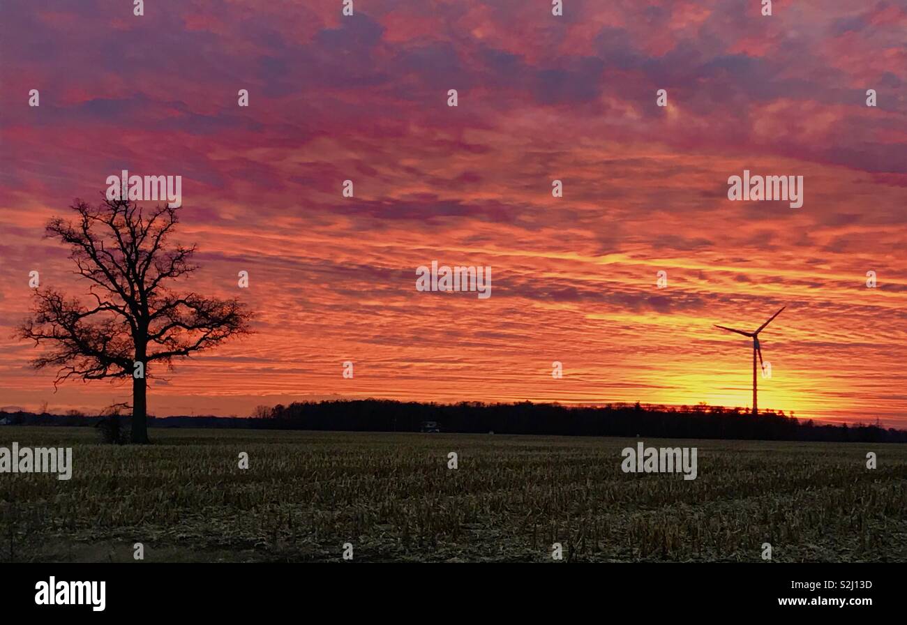 Wunderschöne Sonnenuntergang mit Blick auf den Bauern Feld Stockfoto