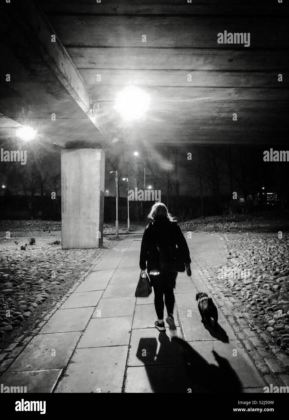 Spaziergang mit dem Hund. Glasgow. Schottland. UK. - Smartphone-aufgenommenes Stockfoto