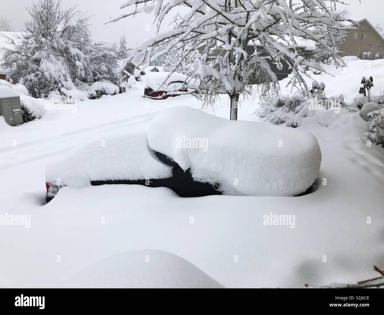 Ein Auto unter dem Schnee in Eugene, Oregon, USA begraben. Stockfoto