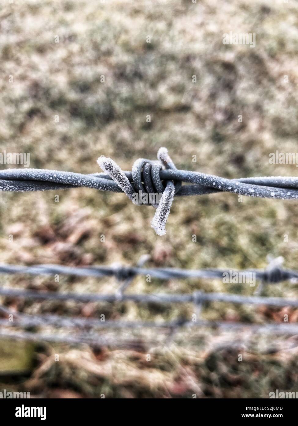 Frosted Stacheldraht - Smartphone-aufgenommenes Stockfoto