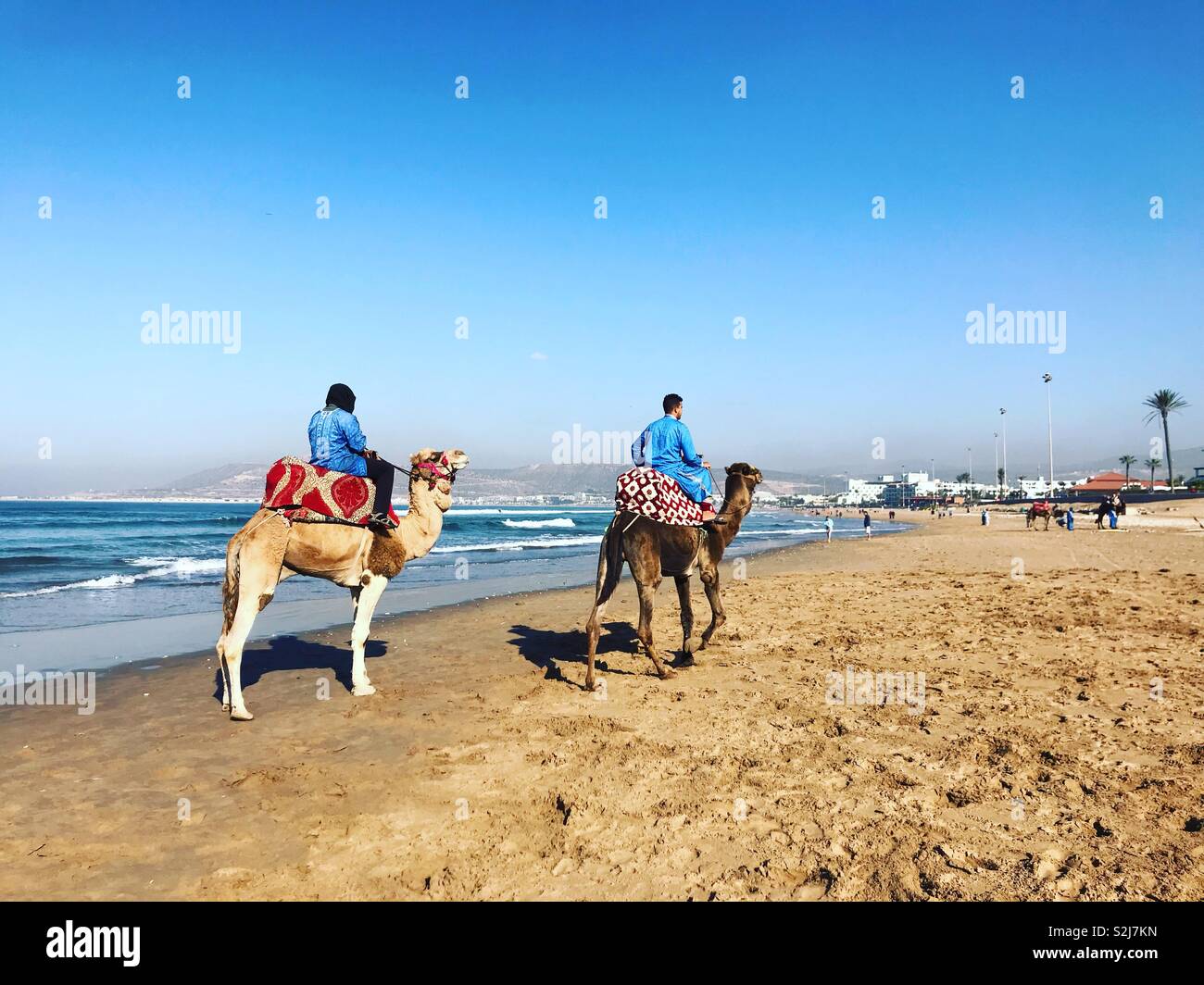 Zwei Männer reiten Kamele am Strand Agadir, Marokko Stockfoto