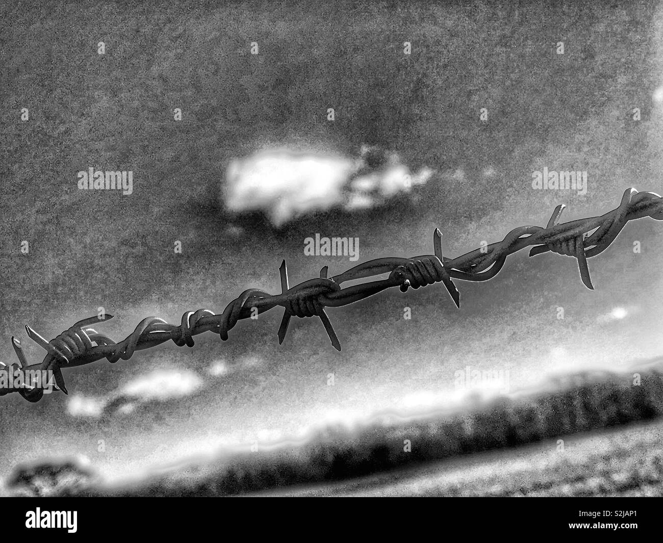 Schwarze und weiße Zusammenfassung von Stacheldraht gegen Himmel mit Wolken und Felder. März 2019. Stockfoto