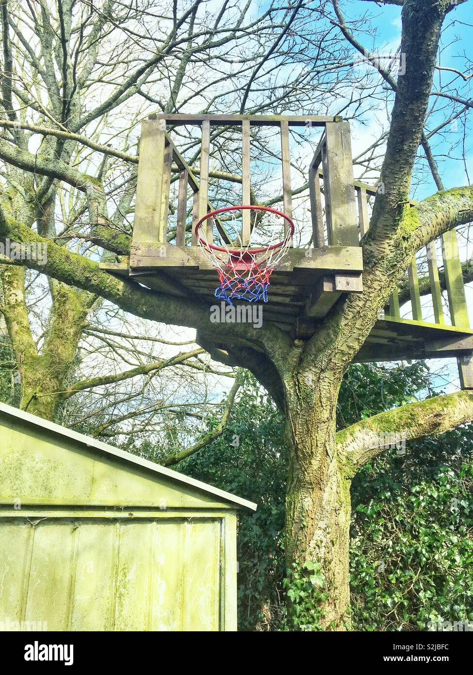 Basketball Basketballkorb auf einer hölzernen Treehouse, Hampshire, Großbritannien montiert. Stockfoto