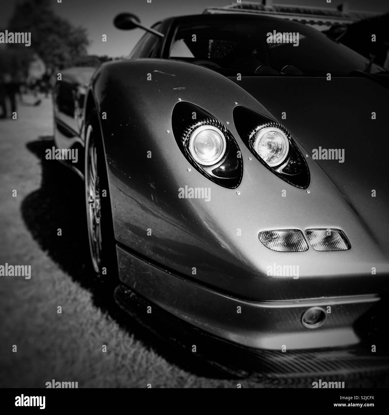 Ein Auge auf die Dinge... Stockfoto