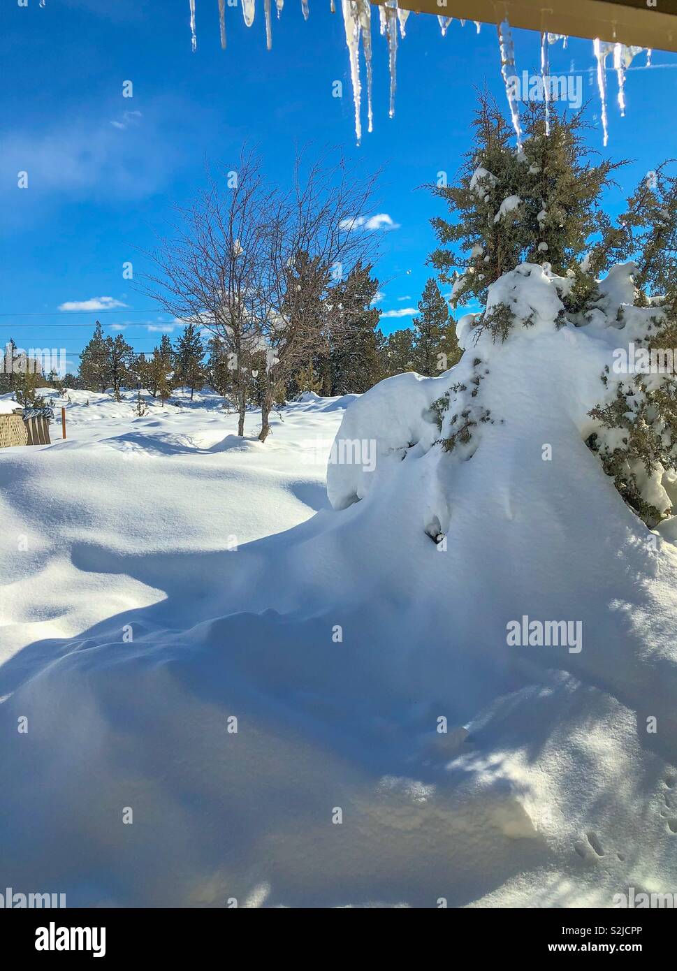 Schnee und Eis Stockfoto