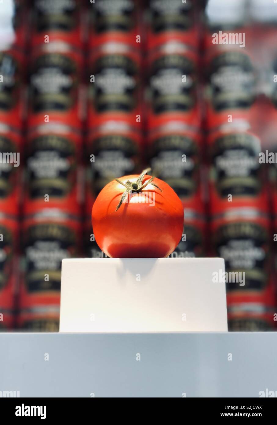 Tomaten mit unscharfen Suppendosen im Hintergrund Stockfoto