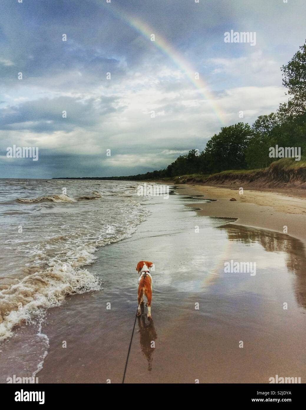 Regenbogen am Strand, beim Wandern mit Hund Stockfoto
