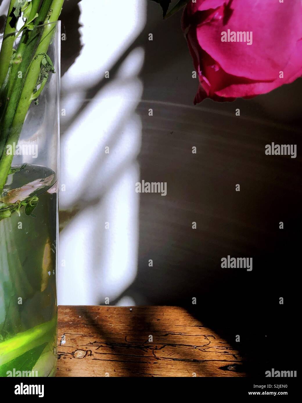 Vase mit Blumen sitzt in den Schatten eines am späten Nachmittag Sonne Stockfoto