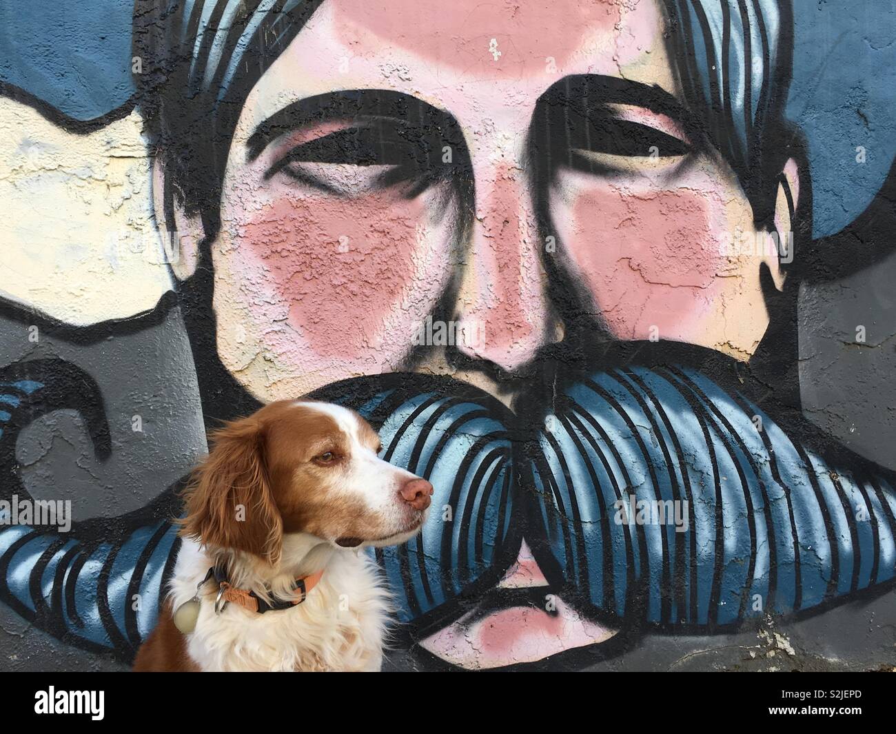Graffiti Kunst Schnurrbart Hund und Mensch Stockfoto