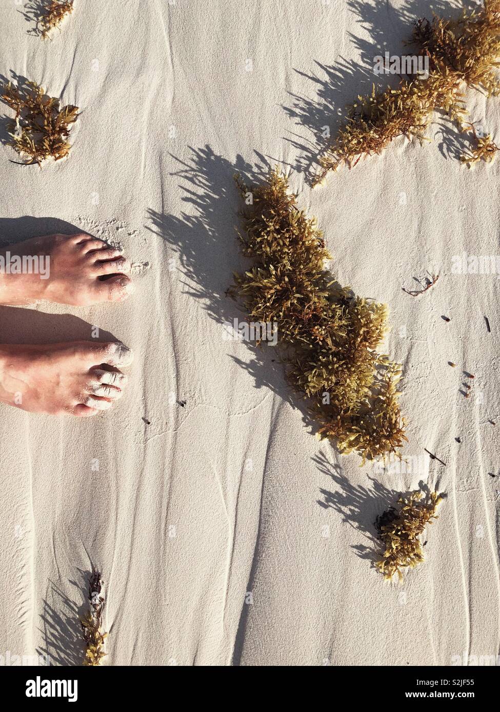 Weißer Sand der Karibik - Smartphone-aufgenommenes Stockfoto