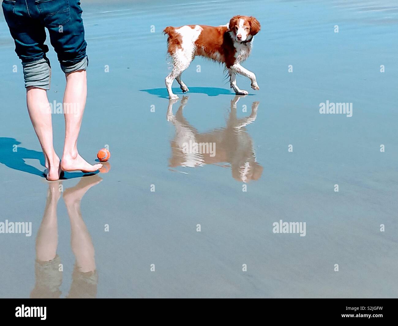 Spiele am Strand kicken den Ball für einen Hund Stockfoto