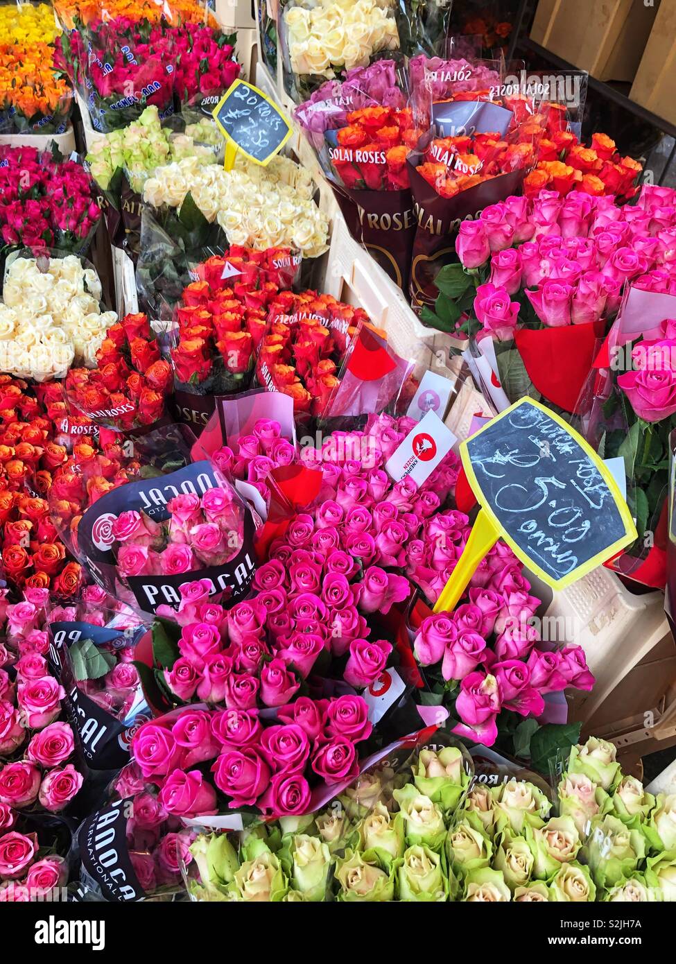 Und endloses Meer von bunten Blumensträuße Rosen an einem Pariser Blumenladen. Stockfoto