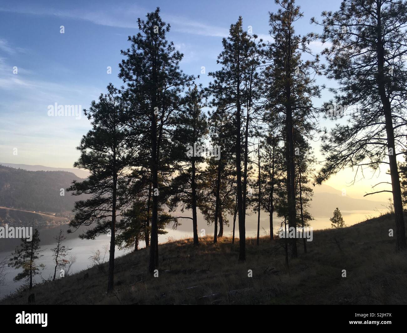 Okanagan Lake view Stockfoto