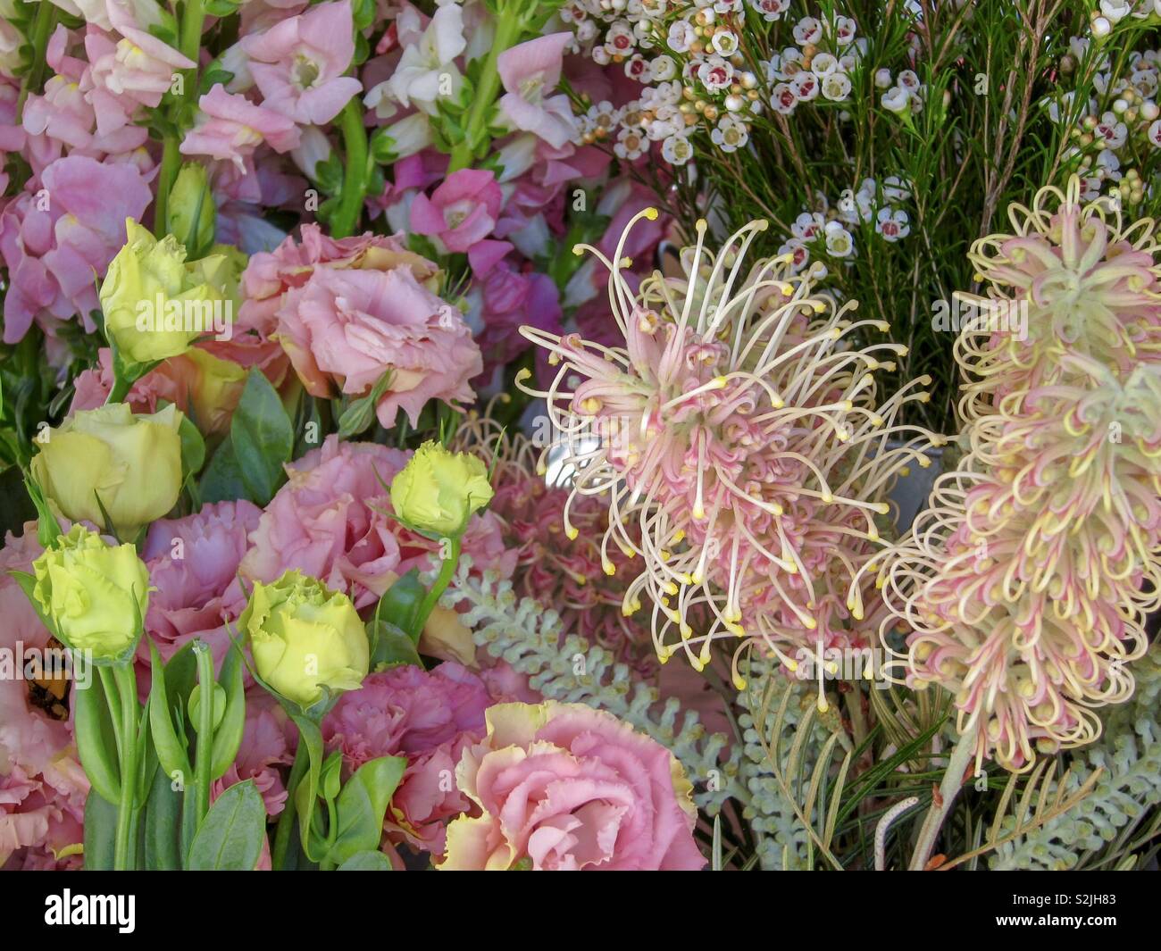 Blumenstand erstaunlich bunten Stockfoto