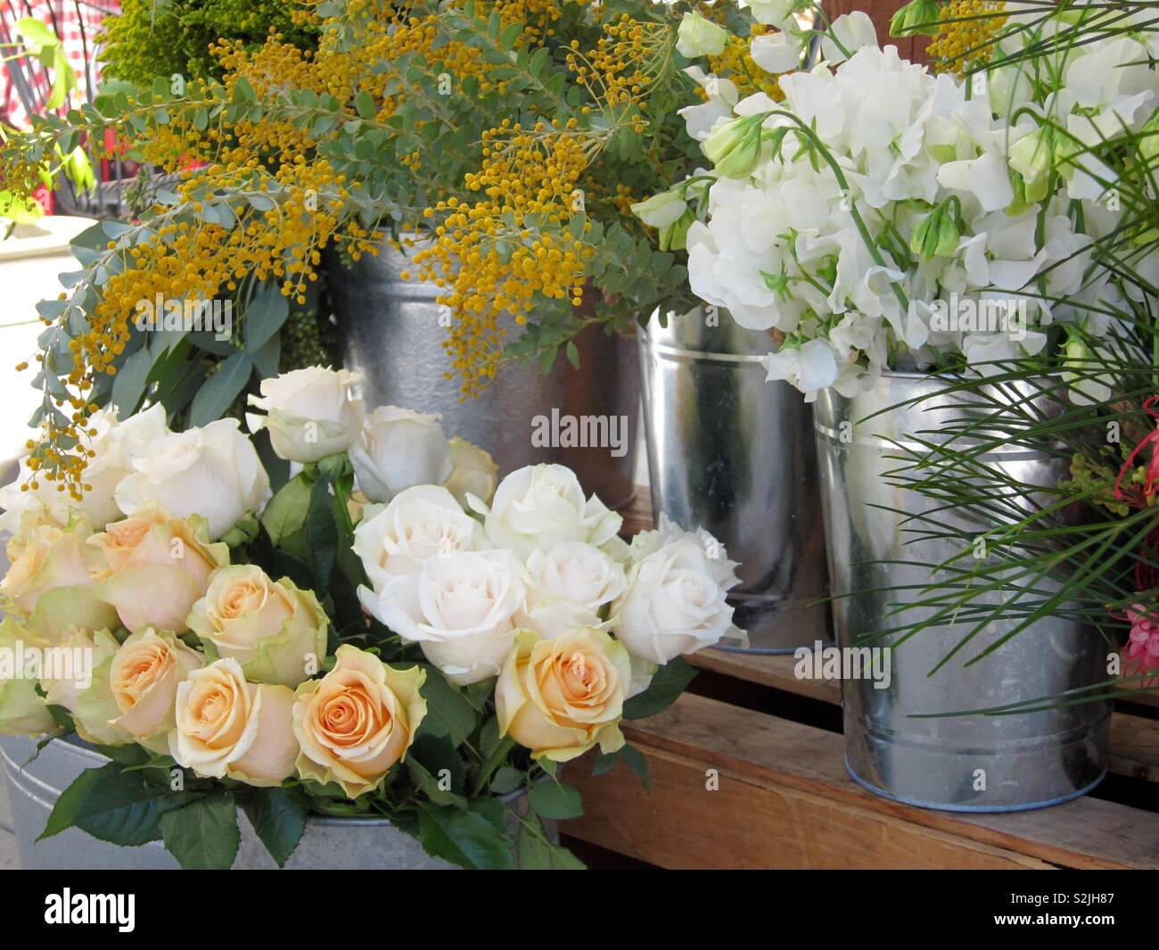 Blumen an einem Blumenstand Stockfoto