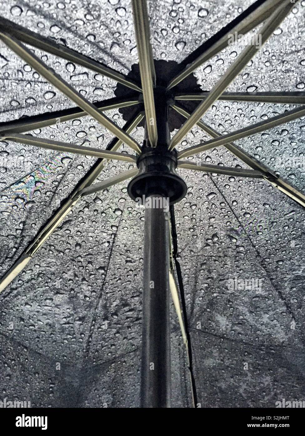 Regnerischer Tag und Duschen. Regentropfen Regentropfen auf dem Dach wie von innen gesehen. Bleiben trocken und aus dem Sturm. Wind und Wetter Hurrikan Poe-Berichte Stockfoto