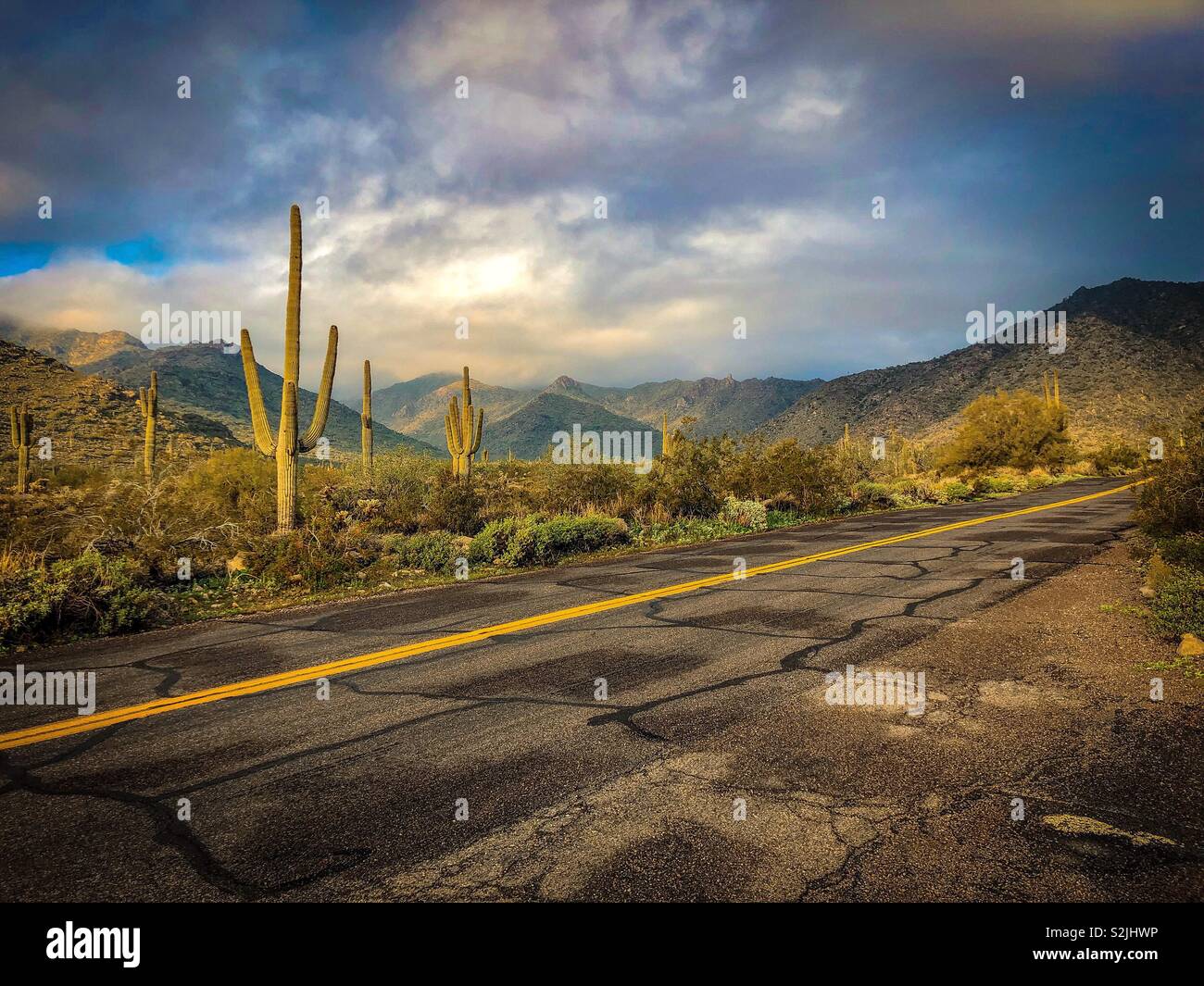 Alte Wüste Straße im Südwesten. Kaktus, Big Sky und offenen Straßen. Stockfoto