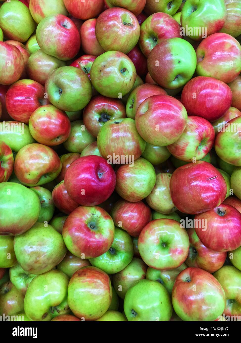 Frische Honig frische Äpfel auf dem Display und zum Verkauf an die lokale Anbieter produzieren. Stockfoto