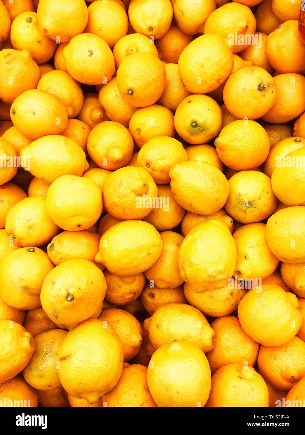 Warenkorb voller Frische gelbe Zitronen auf dem Display und zum Verkauf an die lokale Anbieter produzieren. Stockfoto