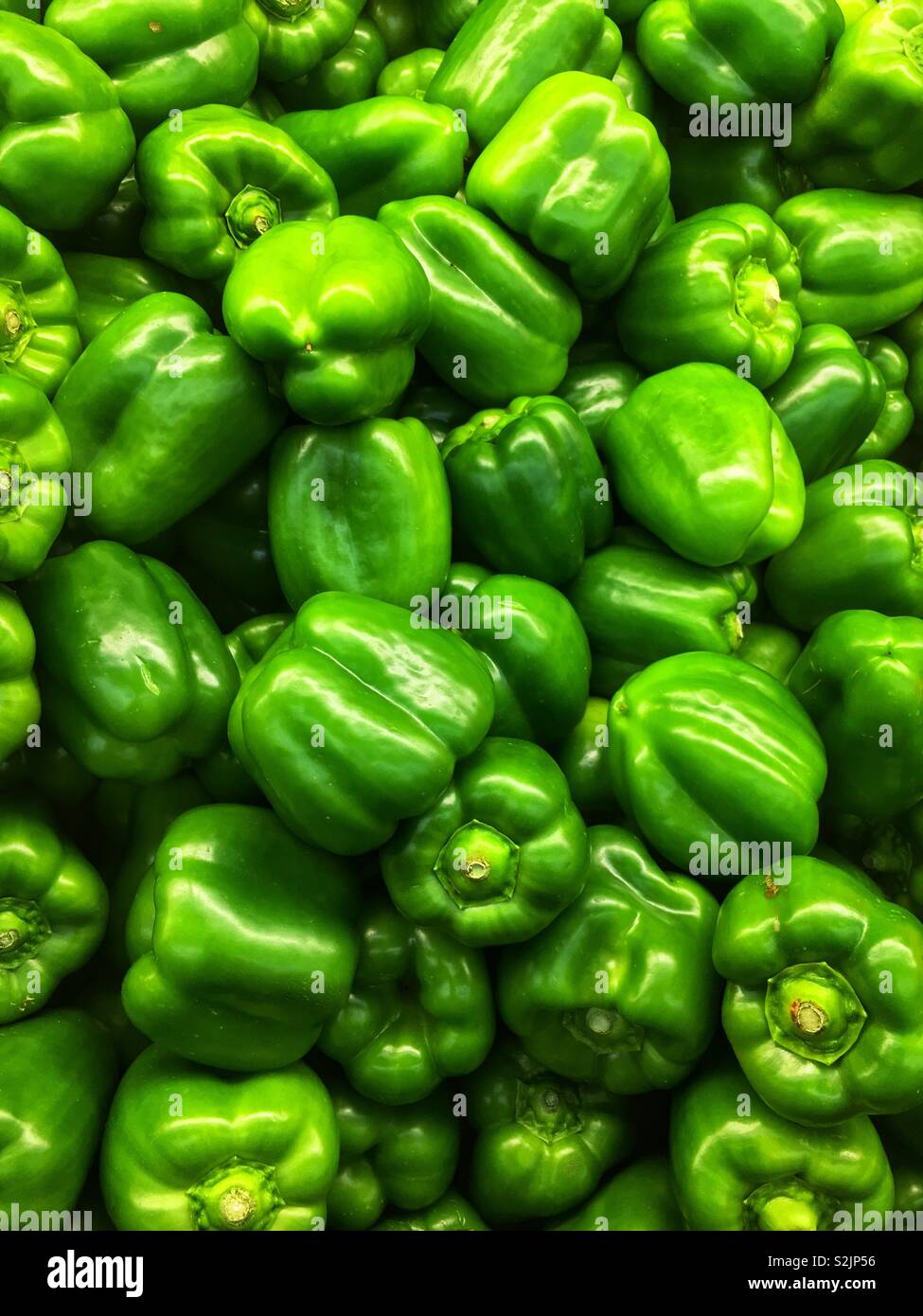 Frische grüne Paprika auf dem Display und zum Verkauf an die lokale Anbieter produzieren. Stockfoto