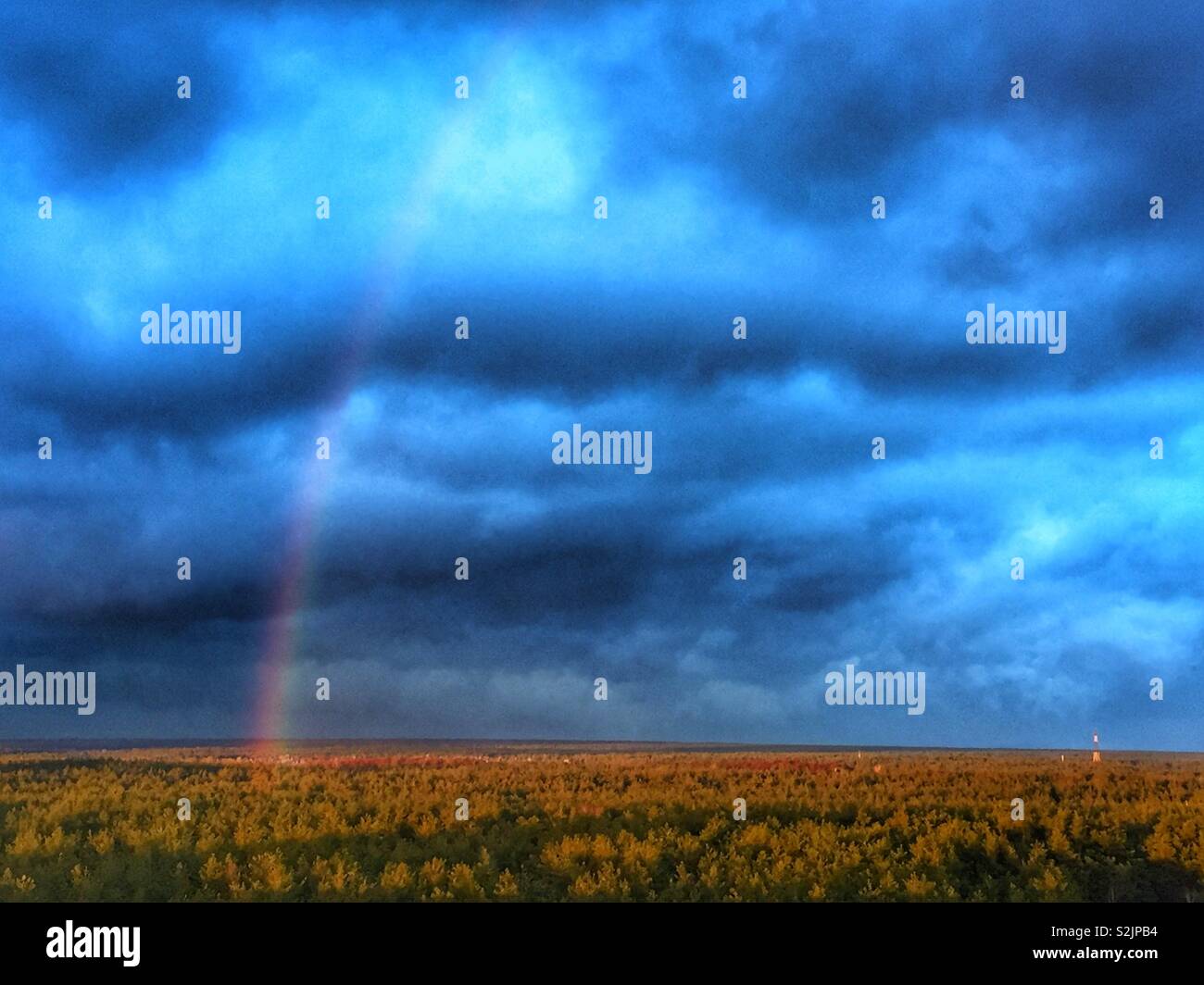Regenbogen über dem Wald - Smartphone-aufgenommenes Stockfoto