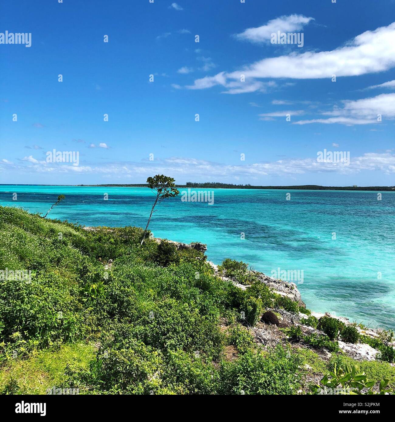 Bahama Inseln Stockfoto