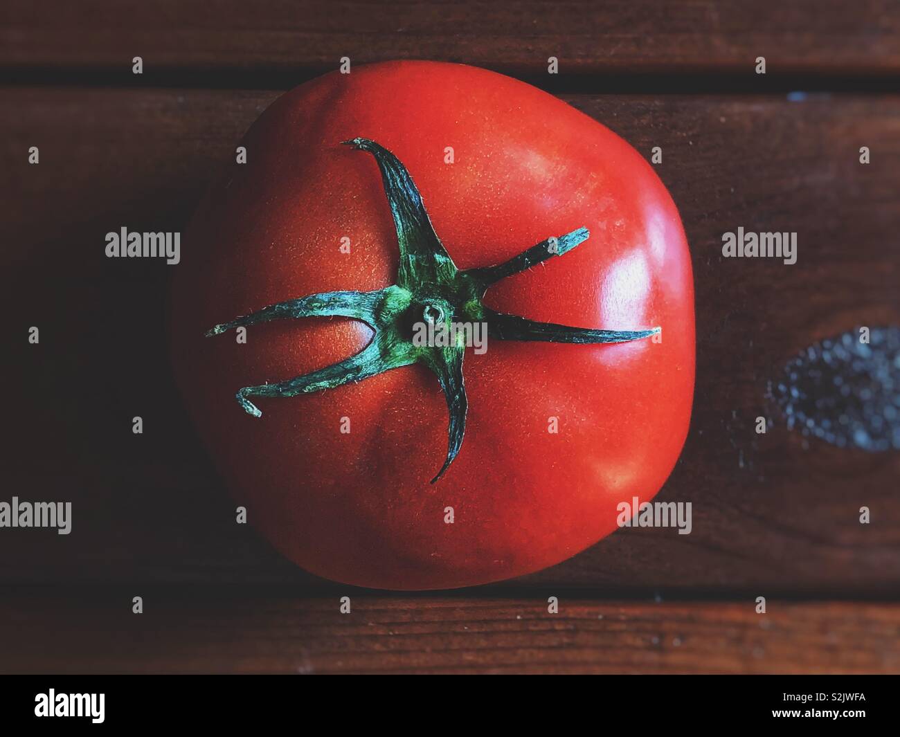 Blick von oben auf eine große reife Tomate in dunkelbraunem Holz- Oberfläche Stockfoto