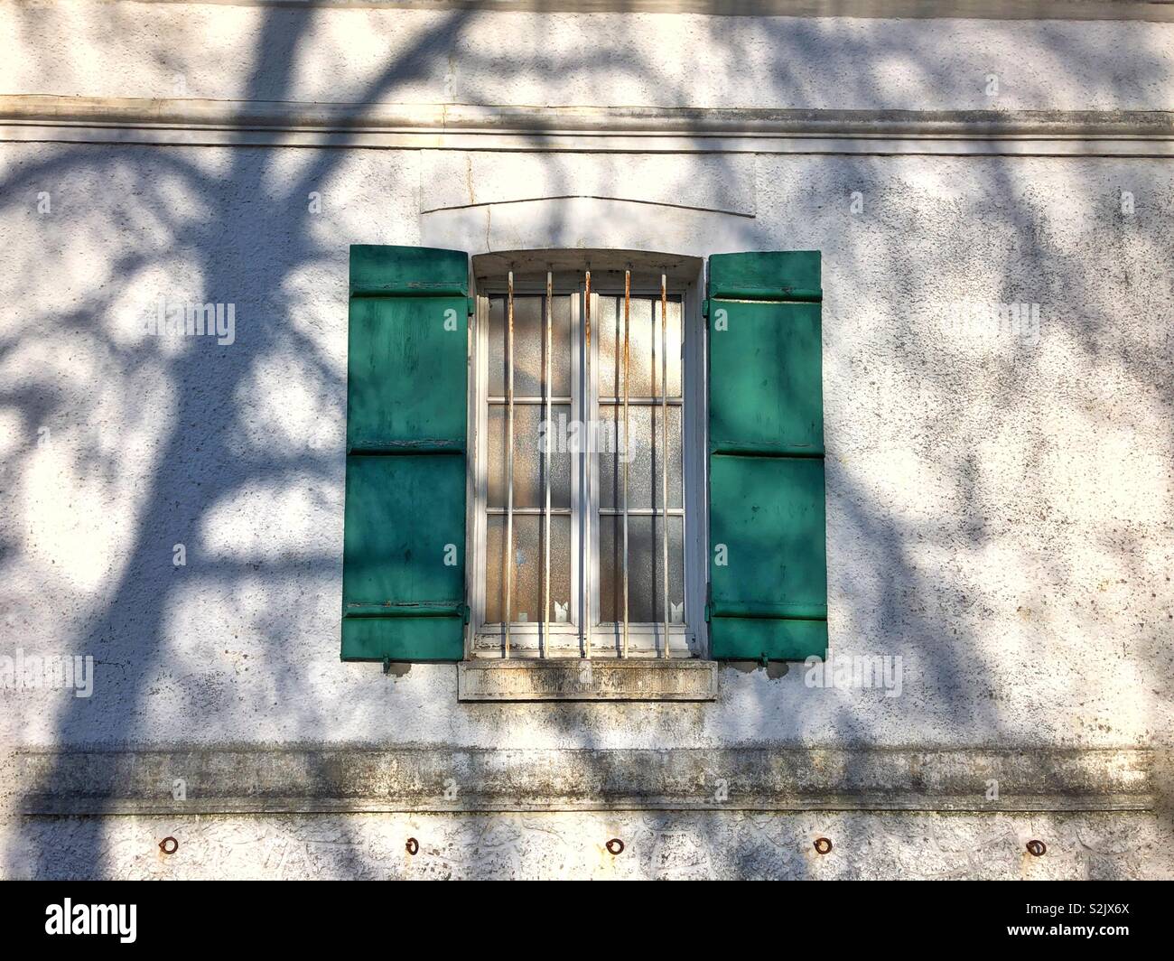 Mit grünen Fensterläden, mit den Schatten von einem überhängenden Baum Fenster. Stockfoto