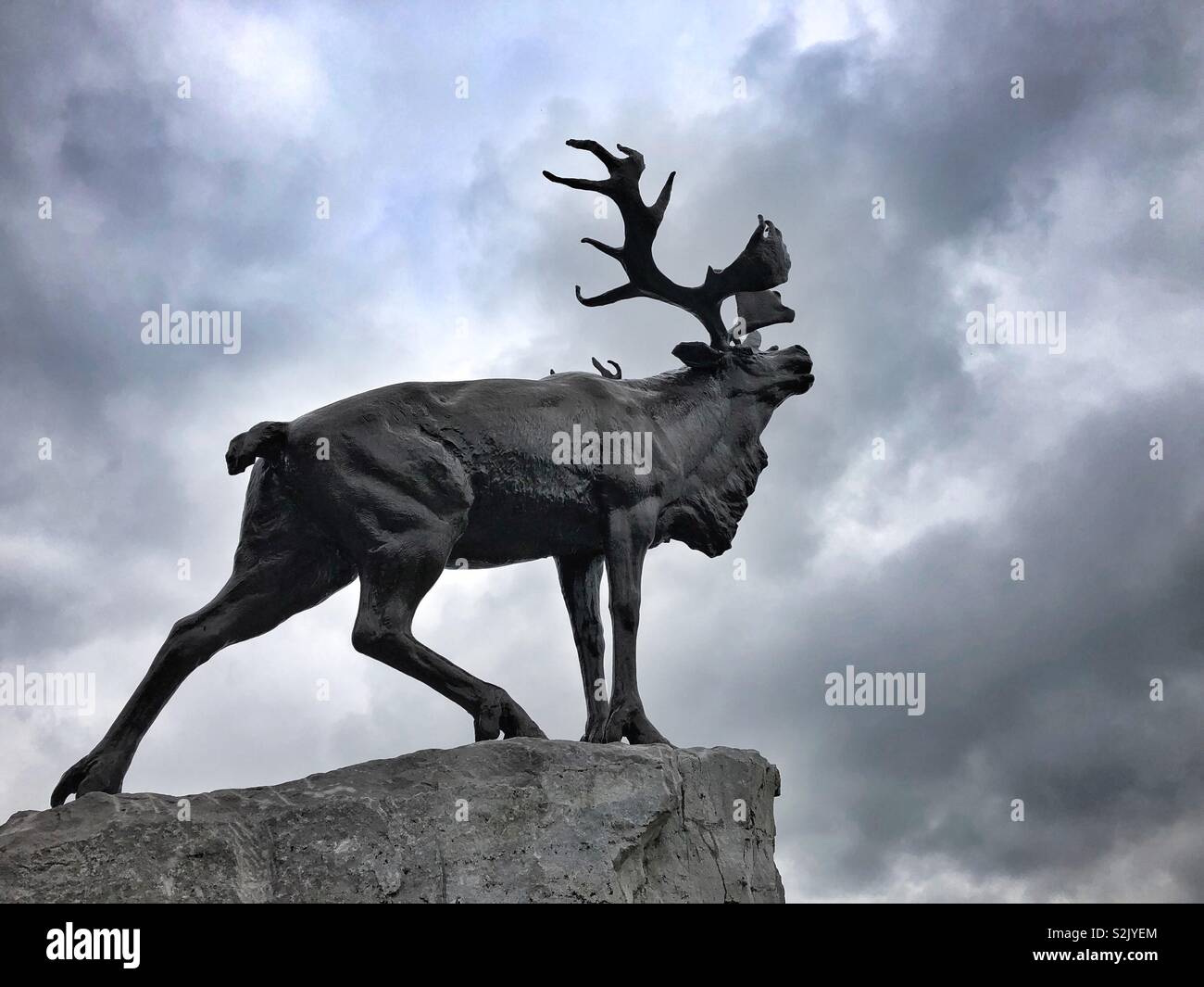 Caribou statue am Beaumont-Hamel Newfoundland Kriegerdenkmal, Normandie, Frankreich. - Smartphone-aufgenommenes Stockfoto