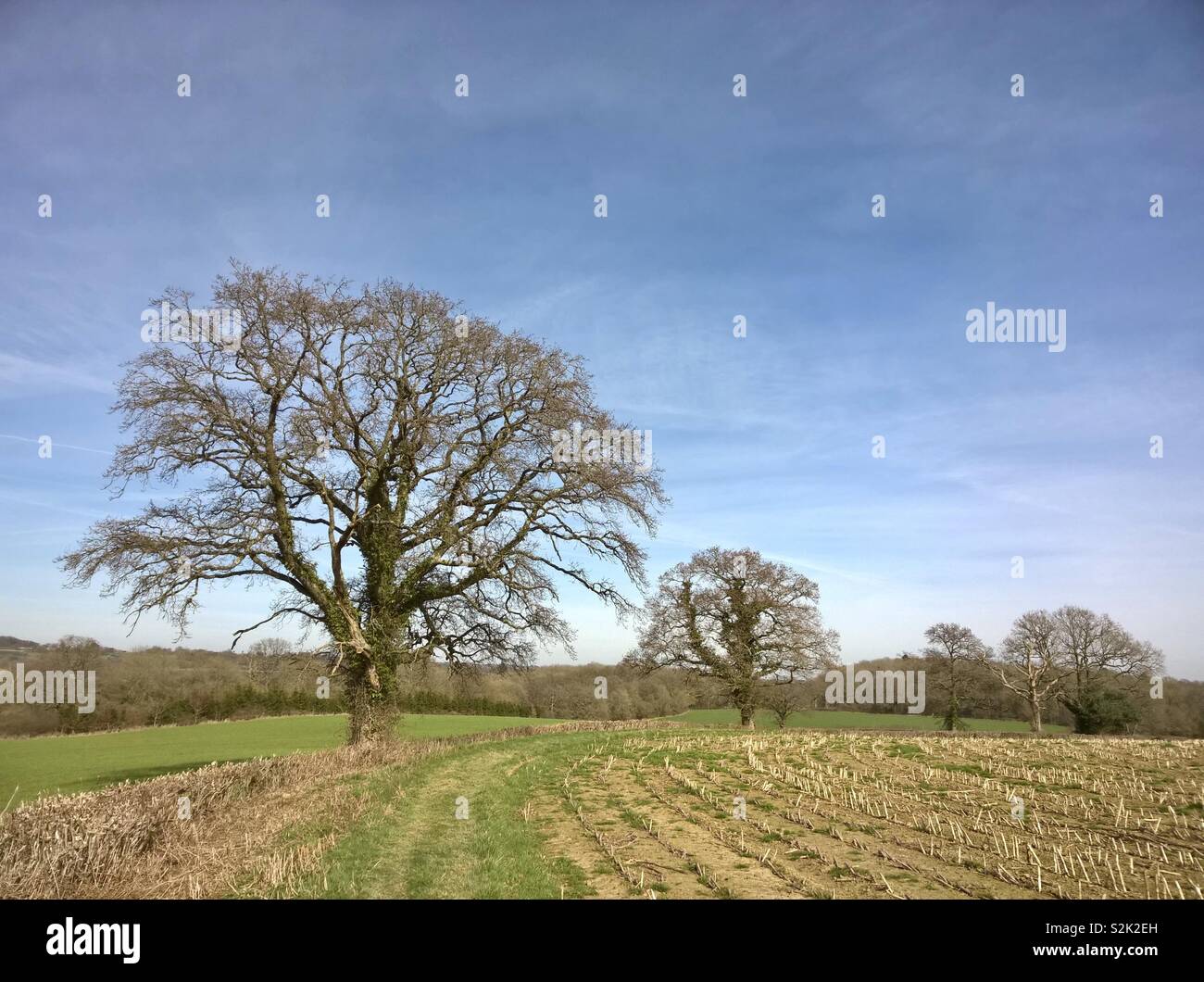 Ein Fußweg durch ein Stoppelfeld an einem sonnigen Tag im frühen Frühjahr. Stockfoto