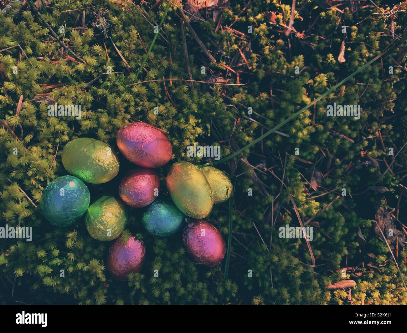 Die Ostereier im Freien auf Moss. Stockfoto