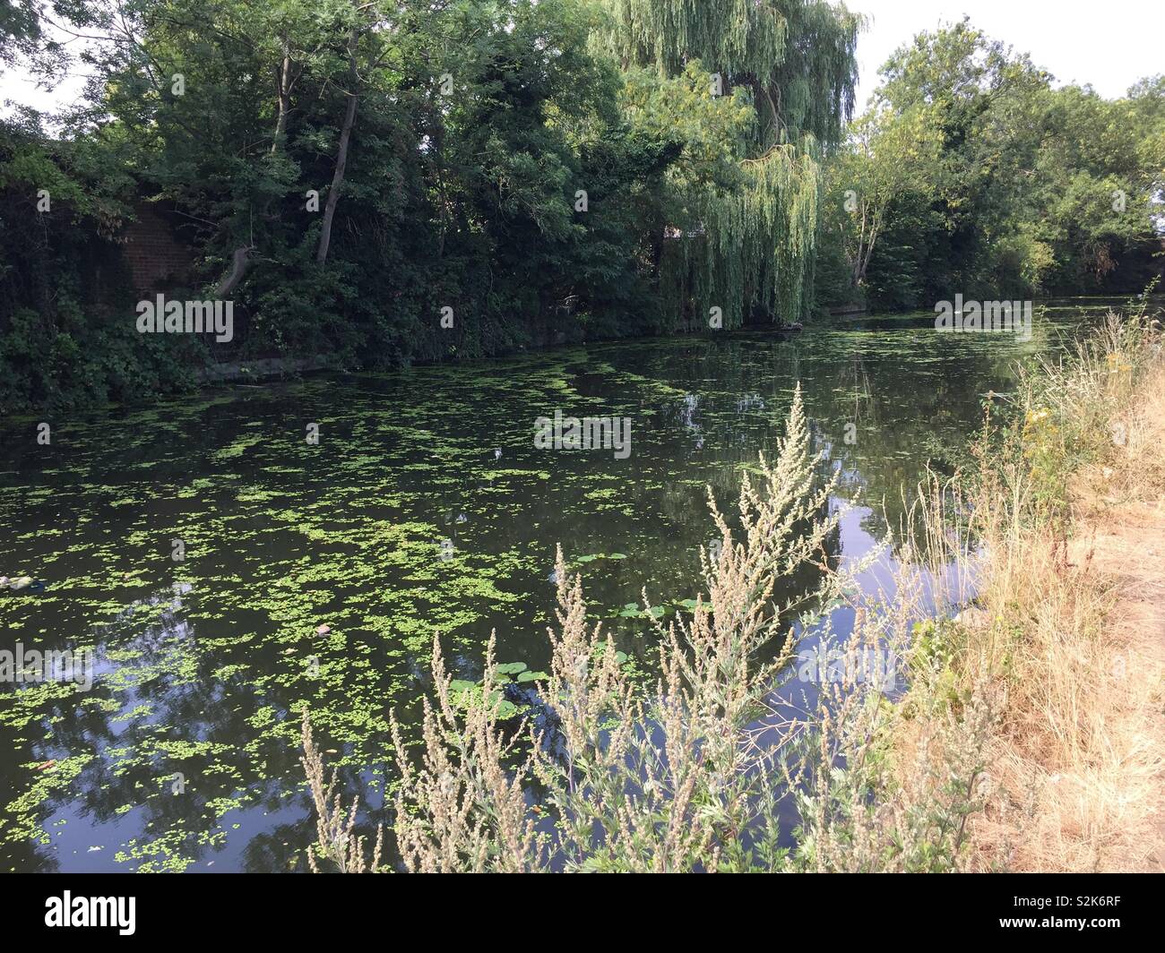 Canal walk Stockfoto