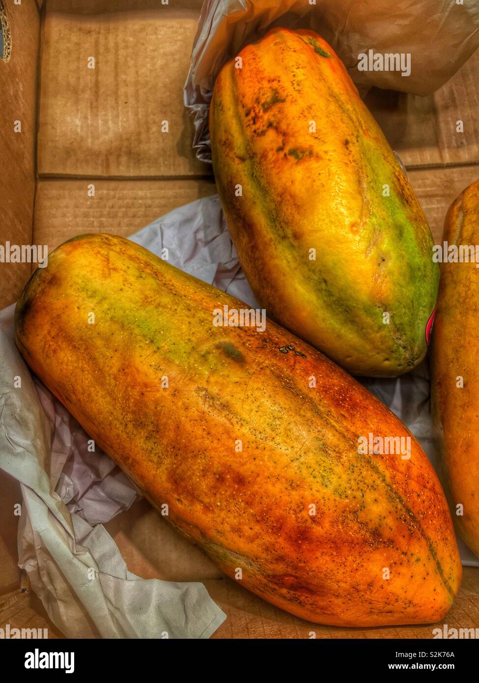 Full Frame der frische reife Papaya auf dem Display und zum Verkauf an die lokale Anbieter produzieren. Stockfoto