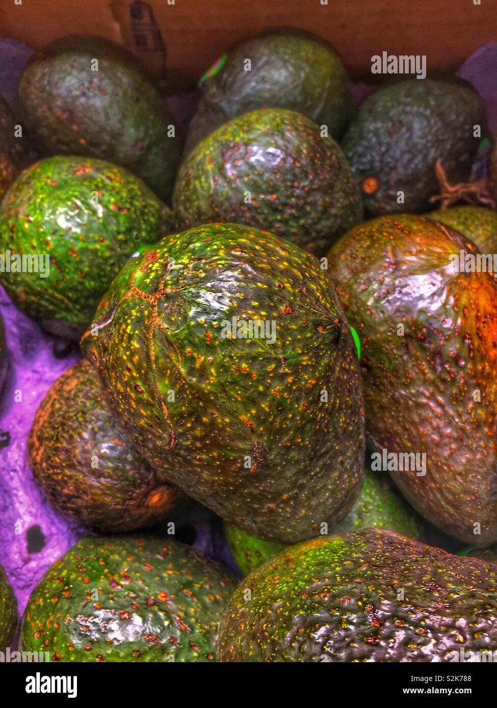 Nahaufnahme einer Frische reife Avocado Grün auf dem Display und zum Verkauf an die lokale Anbieter produzieren. Stockfoto