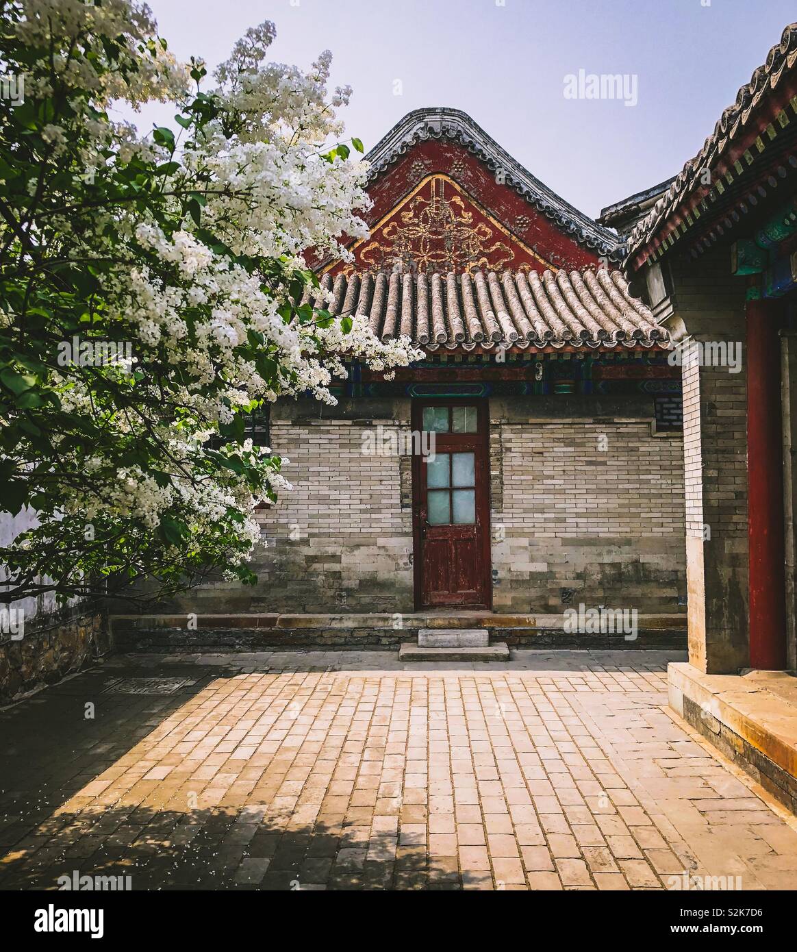 Hof mit Haus mit verzierten Gabel und Tür neben einem blühenden Baum, in der Verbotenen Stadt, Peking, China Stockfoto