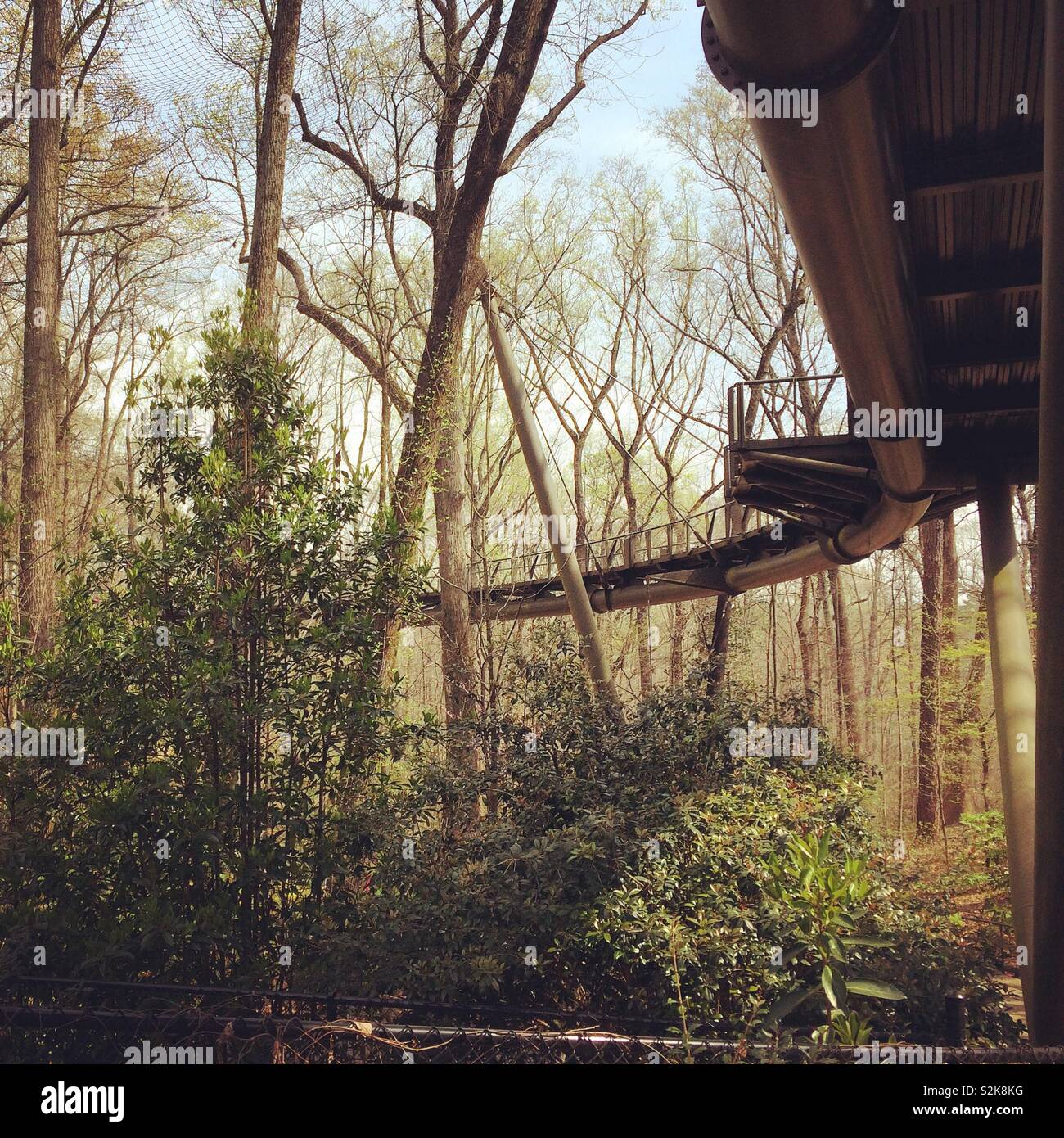 Unter einem Gehweg in Atlanta Botanical Gardens, Atlanta, Georgia, USA Stockfoto