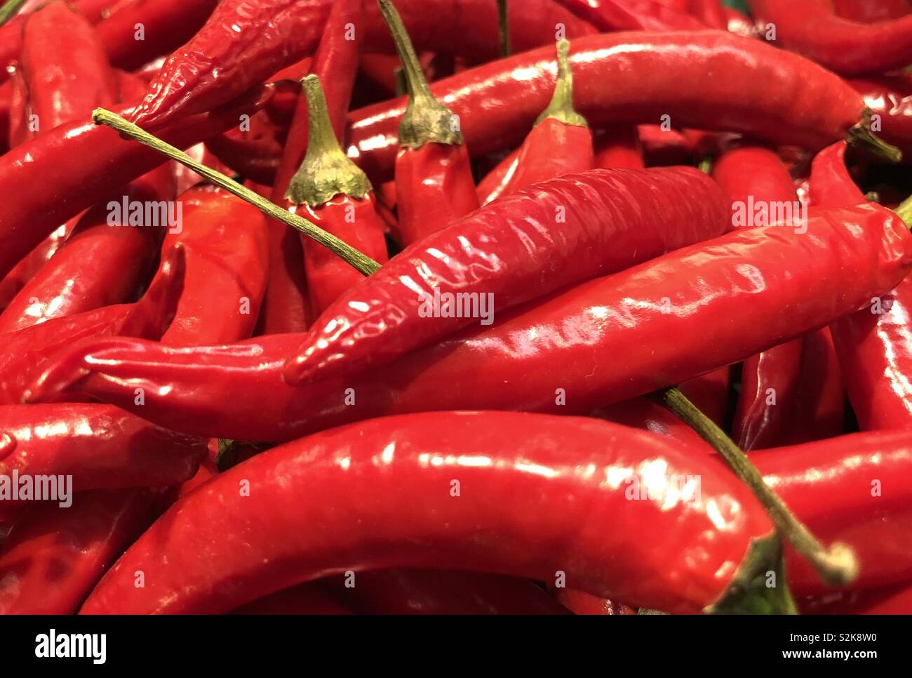 Rote Chilis Stockfoto